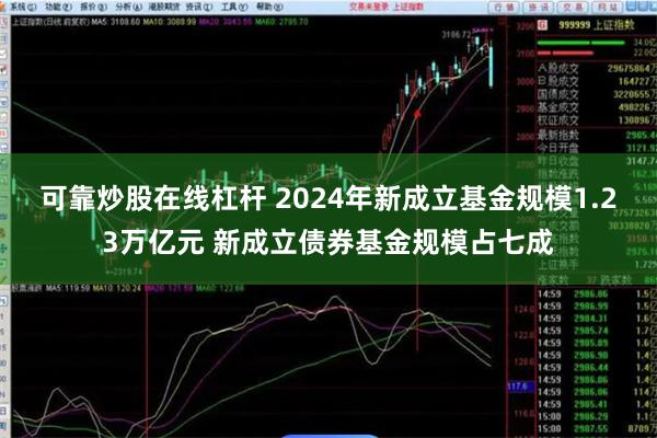 可靠炒股在线杠杆 2024年新成立基金规模1.23万亿元 新成立债券基金规模占七成